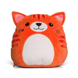 Squidgy Ginger Cat met naam geborduurd 1